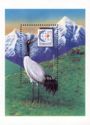 Black-necked Crane (Grus nigricollis)